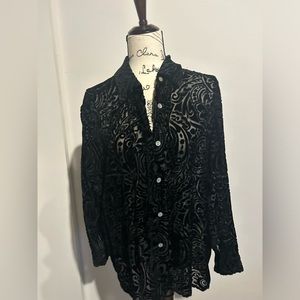 Velvet and sheer Top